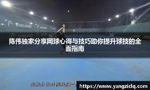 陈伟独家分享网球心得与技巧助你提升球技的全面指南