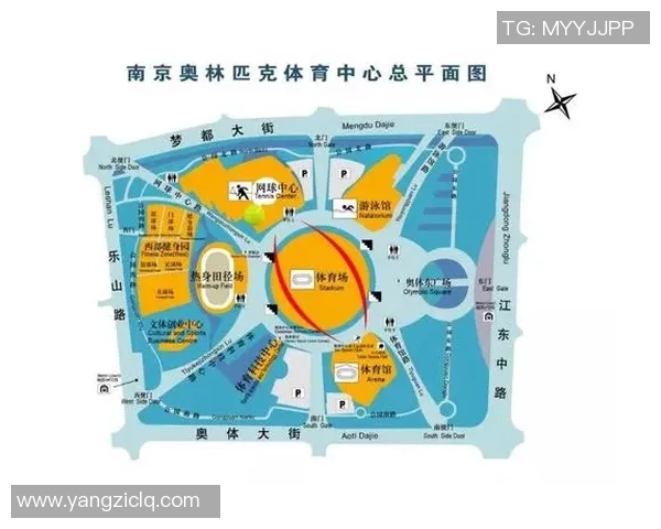 南京网球队在欧锦赛中的强势表现与未来发展潜力分析