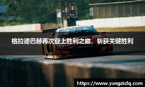 龙8玩家