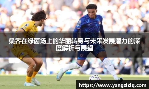 桑乔在绿茵场上的华丽转身与未来发展潜力的深度解析与展望