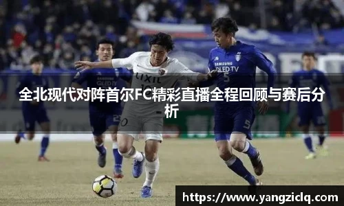 龙8玩家