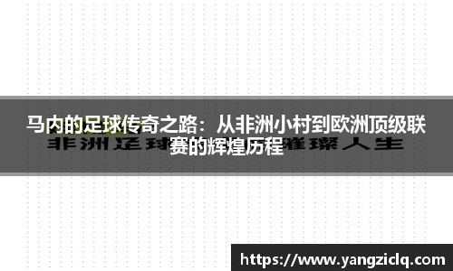 龙8玩家